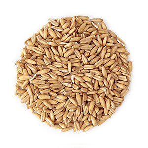Grain Mill Grinders